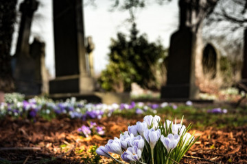 Cementerio