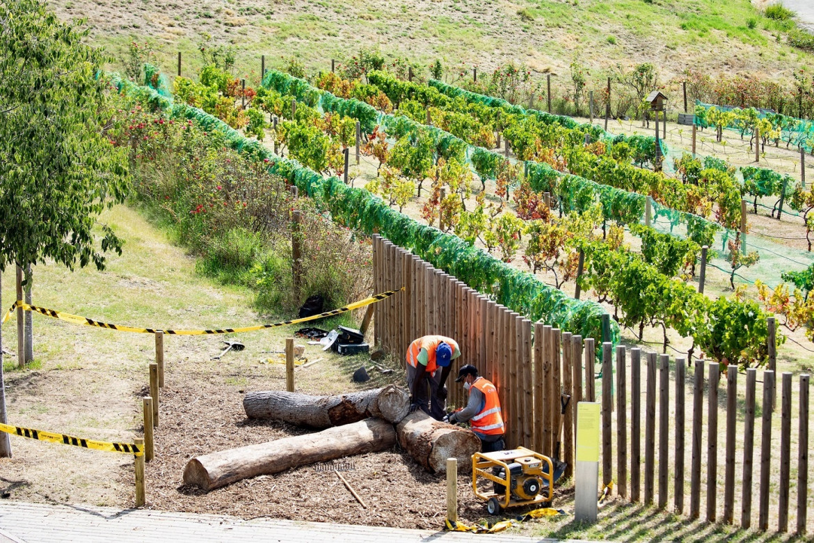 Archivo - Instalación de treinta refugios de biodiversidad creados a partir de árboles caídos por los temporales, especialmente durante el Glòria, en los parques metropolitanos.