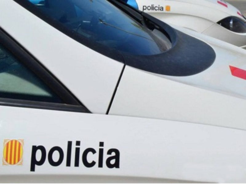 Mossos molins