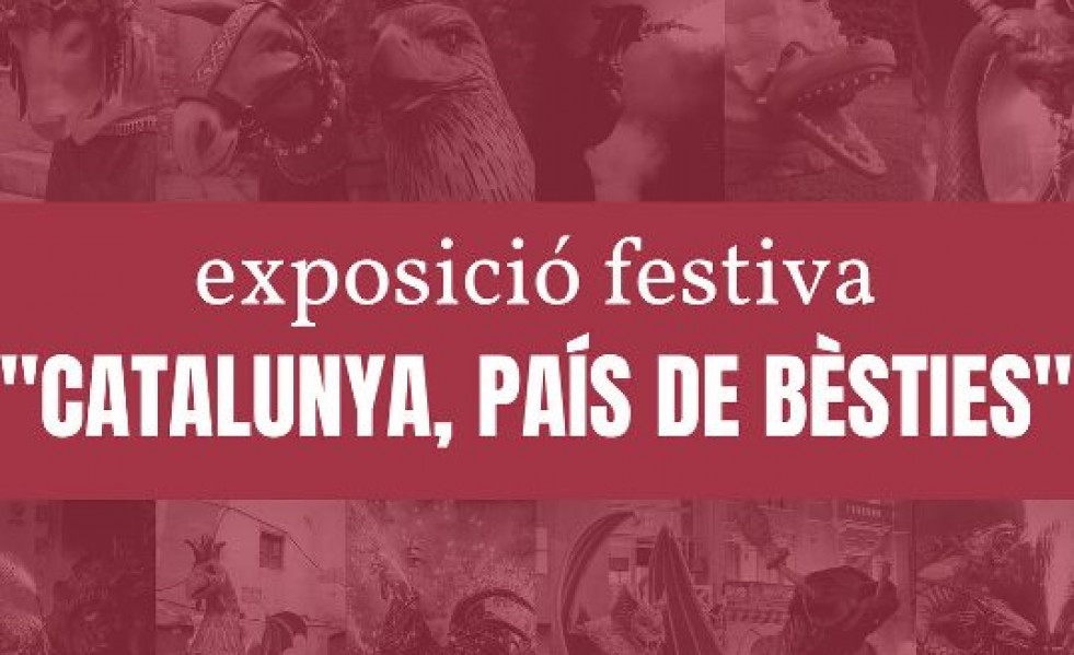 Sant feliu expo