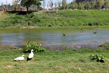 Martorell medio ambiente 2