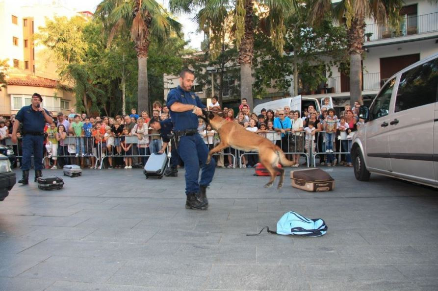 Policia local