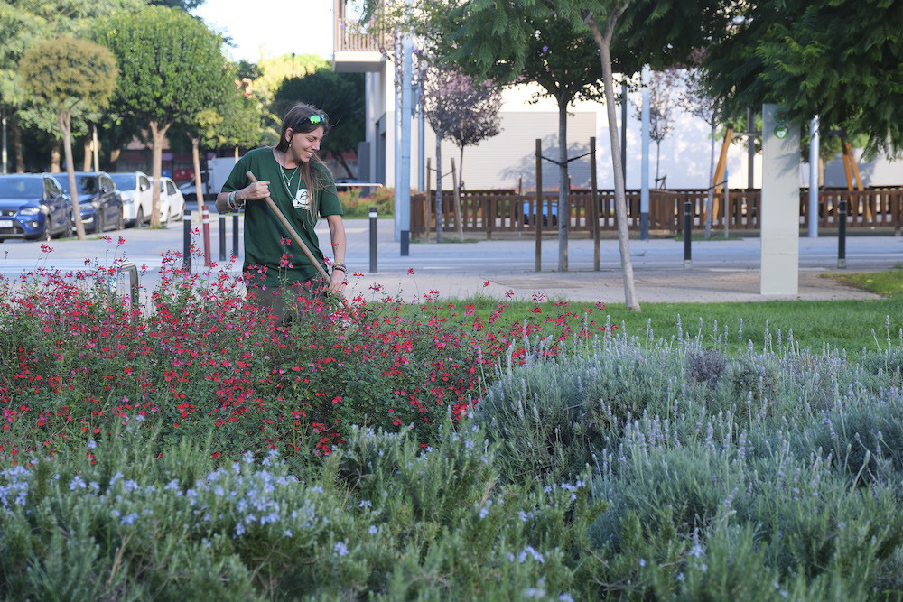 Pla replantacio zones verdes 1