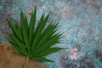 Heaps marijuana leaves