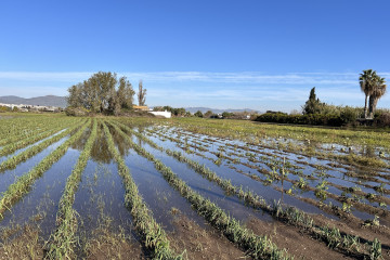 EuropaPress 6342051 campo inundado parc agrari llobregat barcelona