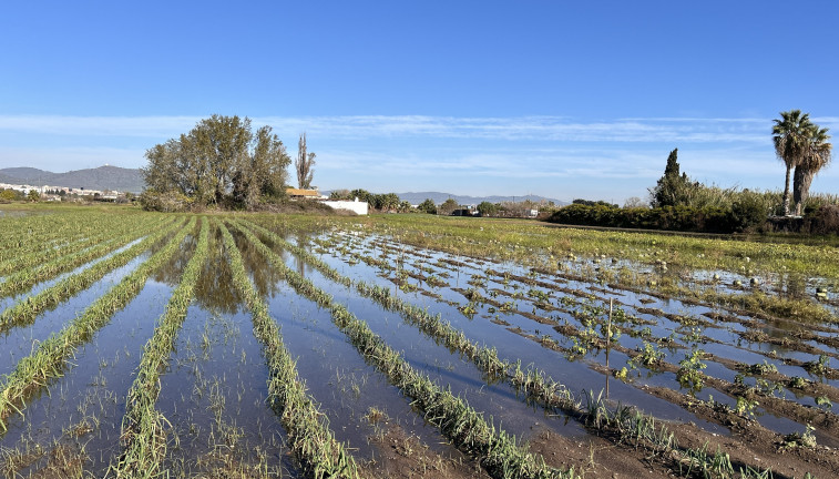 EuropaPress 6342051 campo inundado parc agrari llobregat barcelona