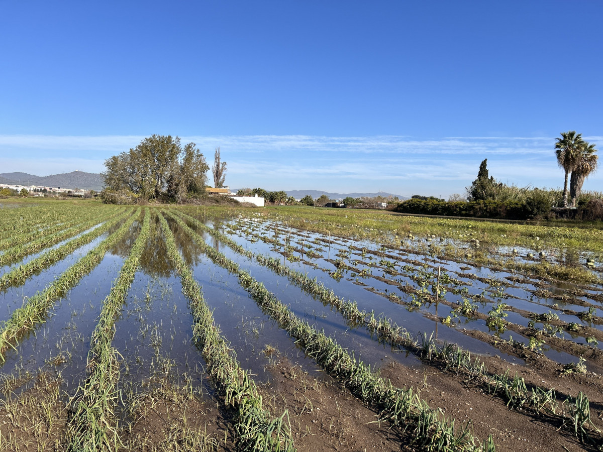 EuropaPress 6342051 campo inundado parc agrari llobregat barcelona