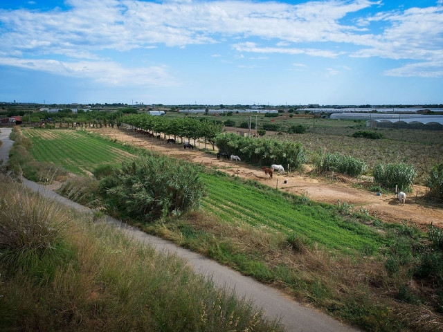 Viladecans parc agrari extensio camps cultius